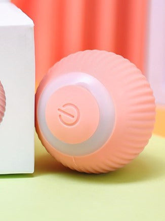 Joliefleurpourvous™ Interactive Pet Ball