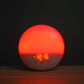 Joliefleurpourvous™ Smart Sunlight Alarm Clock